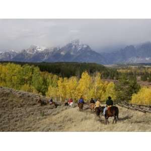 Tourists Enjoying Horseback Riding, Grand Teton National Park, Wyoming 