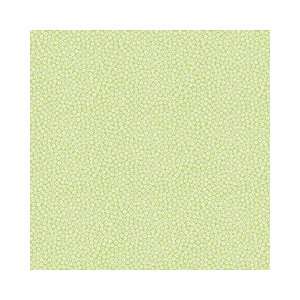  Doodlebug Papers 25P Bgirl Brt