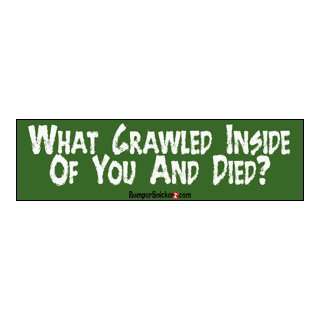 What crawled inside of you and died?   funny bumper stickers (Large 