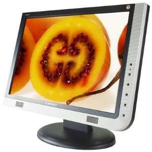 19 inch Wide LCD Monitor