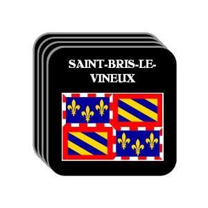 Bourgogne (Burgundy)   SAINT BRIS LE VINEUX Set of 4 Mini Mousepad 