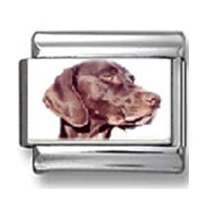  German Shorthaired Pointer Dog Photo Italian Charm 