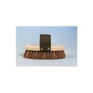   Category Equine GroomingBRUSHES, COMBS & CURRYS)