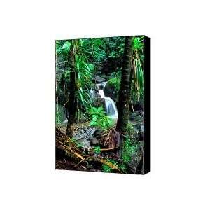  Waterfall El Yunque National Forest Mirror Image Canvas 