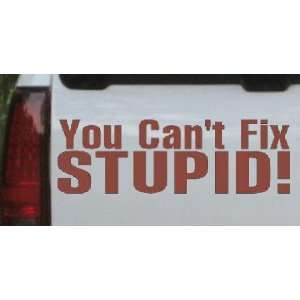 Brown 4in X 12in    You Cant Fix Stupid Funny Car Window Wall Laptop 