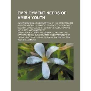 Employment needs of Amish youth hearing before a 