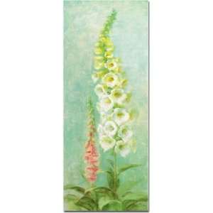  Nai   White Foxgloves