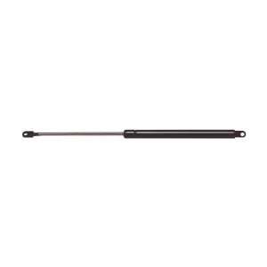  Strong Arm 4460 Hatch Lift Support Automotive