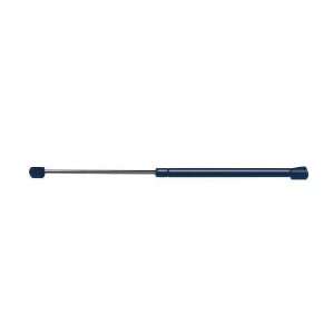  Strong Arm 4593 Hatch Lift Support Automotive
