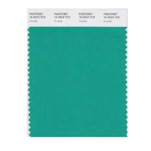  PANTONE SMART 16 5533X Color Swatch Card, Arcadia