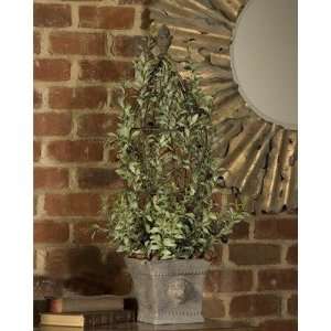  Uttermost 60076 Olive Trellis Topiary Topiary