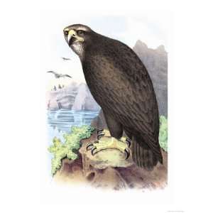  Sea Eagle Giclee Poster Print by Theodore Jasper, 24x32 
