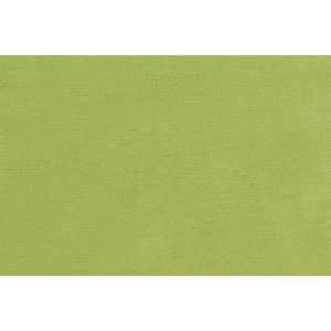  8331 Solid Chintz in Kiwi by Pindler Fabric