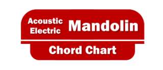 This A4 sized laminated chart displays common chords for the 8 