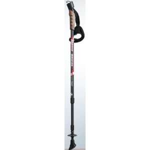  3 Pieces Carbon Nordic Walking Pole / price are for a pair 