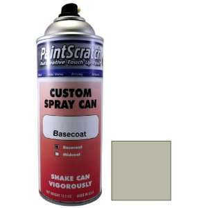  12.5 Oz. Spray Can of Silver Frost Metallic Touch Up Paint 