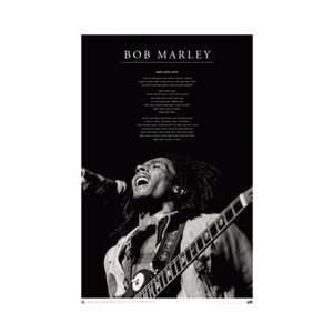  Bob Marley   Iron Lion College Dorm Music Poster