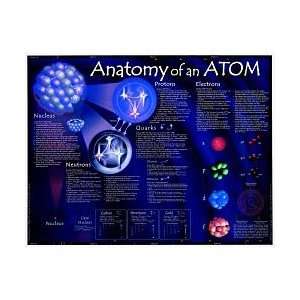 Anatomy of an Atom Poster  Industrial & Scientific