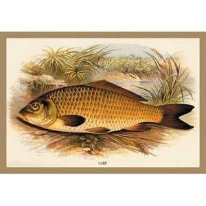  Vintage Art Carp   15598 1