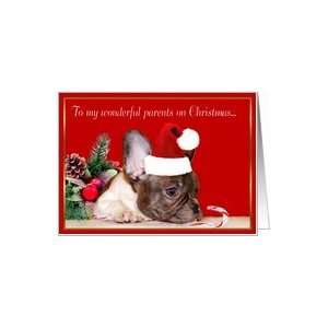  Merry Christmas to my parents French Bulldog puppy Card 