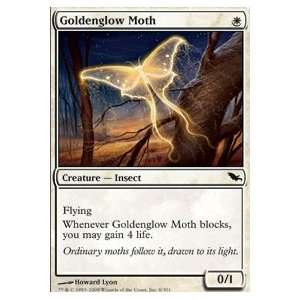  Goldenglow Moth