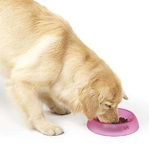 EatBetter Pet Food Bowl   White, Medium   Frontgate