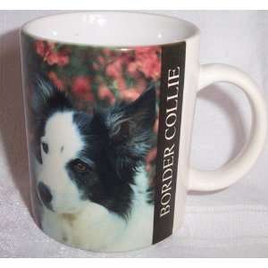Border Collie Photo Coffee Mug 