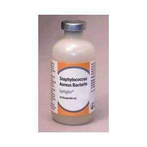  Lysigin Vaccine   04 104121   Bci