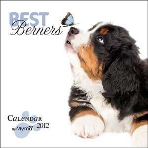  2012 Best Berners By Myrna Calendar