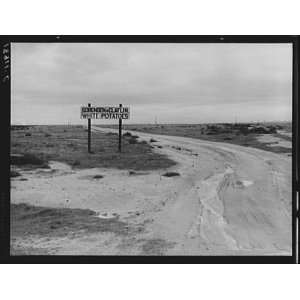   County,California,CA,U.S. 99,Sorensen,Claflin,1939