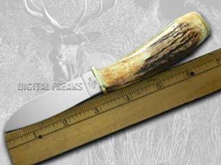 CASE XX Deer Hunter Genuine Stag Pocket Knife Knives  