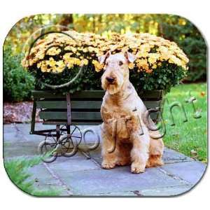  NEW Airedale Mousepad Barbara Augello Collection Pet 