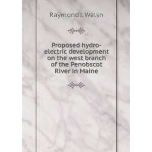  Proposed hydro electric development on the west branch of 