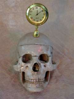Skull with Clock great desk top item. Who says death has no time?