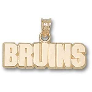 Boston Bruins NHL Bruins Pendant (Gold Plated) Sports 