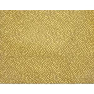  1018 Shakira in Pear by Pindler Fabric