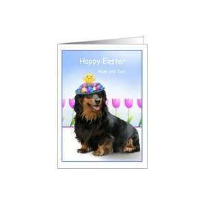  Humorous Daschund Easter Cards for Parents Paper Greeting 