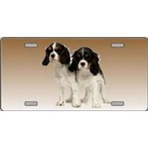 Cavalier King Charles Spaniel Dog Pet Novelty License Plates Full 