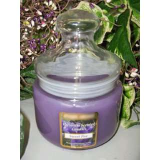  Sweet Pea Scented Wax Candle in Apothecary Glass Jar 16 Oz 