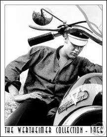 Elvis on Harley motorcycle Wertheimer tin sign  