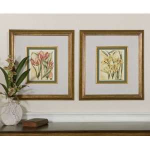  French Tulip & Gladiola, Pictures