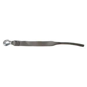  Winch Strap With Tail End 2 in. X 15