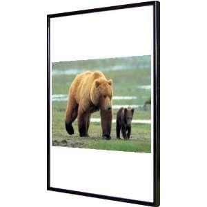  Grizzly Man 11x17 Framed Poster