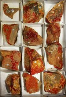 WHOLESALE FLAT VANADANITE Crystals 12@$15 Morocco  