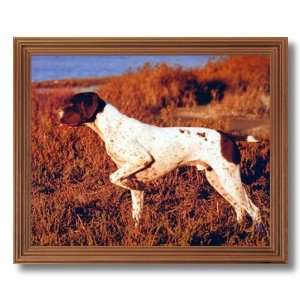 English Pointer Dog In Field Cabin Home Decor Wall Picture Oak Framed 