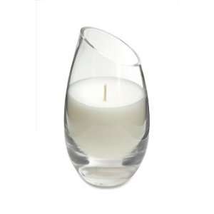  Exotic Woods by Eden for Unisex   9 oz Glass Candle 