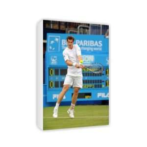  Andy Murray   Canvas   Medium   30x45cm