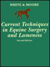 Current Techniques in Equine Surgery and Lameness, (0721646018), N. A 