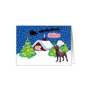 Believe Chocolate Labrador Christmas Card Card Health 