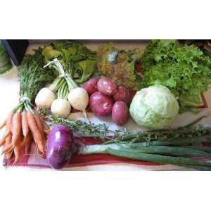  Thanksgiving Vegetable Garden 12 Varieties, over 6,600 